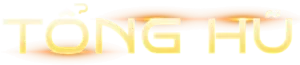 TỔNG HỦ
